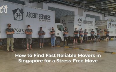 How to Find Fast Reliable Movers in Singapore for a Stress-Free Move