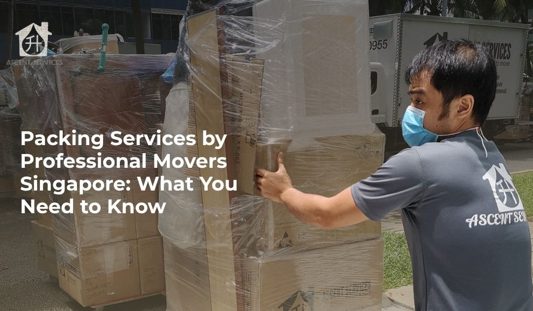 Professional movers in Singapore pushing moving boxes during a house relocation