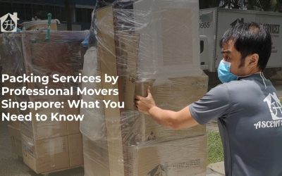 Packing Services by Professional Movers Singapore: What You Need to Know