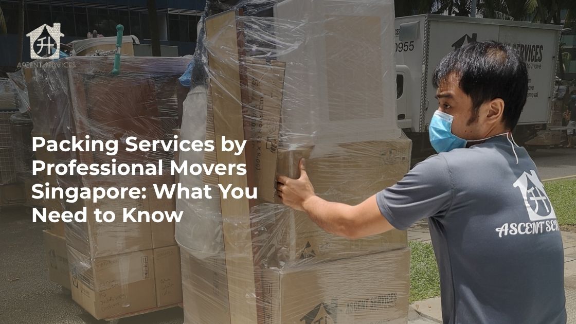 Professional movers in Singapore pushing moving boxes during a house relocation Professional movers in Singapore pushing moving boxes during a house relocation
