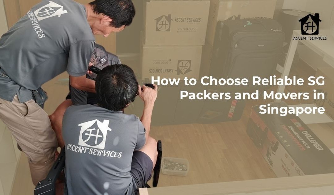 How to Choose Reliable SG Packers and Movers in Singapore