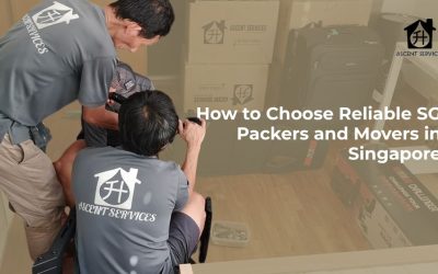 How to Choose Reliable SG Packers and Movers in Singapore