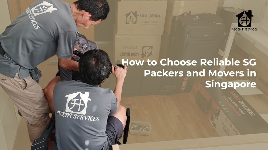 SG packers and movers organizing boxes for a smooth and efficient move